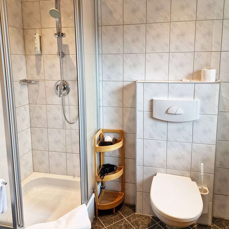 shower and toilet